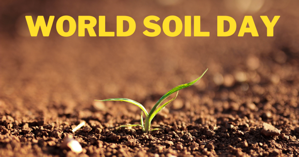 World Soil Day 2022, Theme History  
