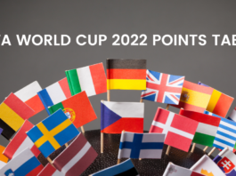 FIFA WORLD CUP 2022 POINTS TABLE