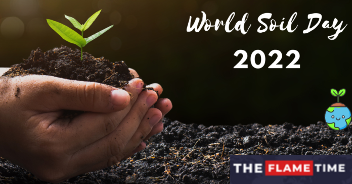 World Soil Day 2022, Theme History 