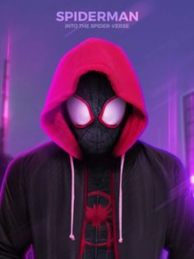 Spider Man Across The Spider Verse