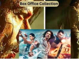 Pathan Film । Total Box Office Collection