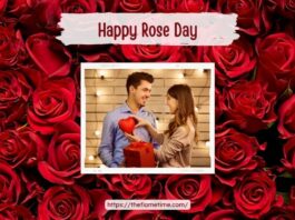 Rose Day 2023: For Your Special Someone