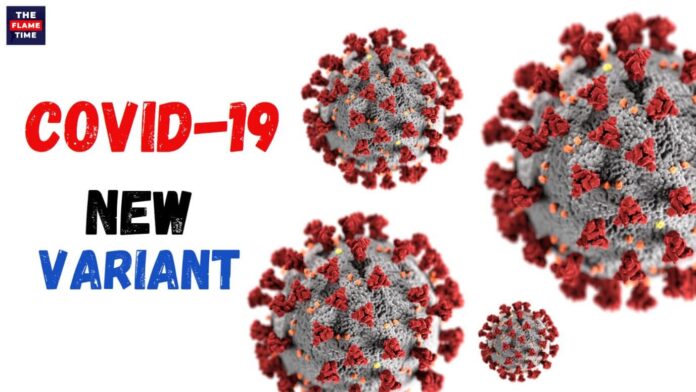 Coronavirus Live Updates: Covid-19 New Variant, Covid Cases in India