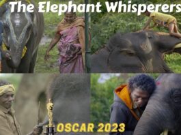 Oscar Awards 2023: "The Elephant Whisperers" won the First Oscar