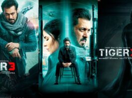 Tiger 3 Box Office Collection Day 1: "Biggest Opening Ever" Also Creates A Diwali Record