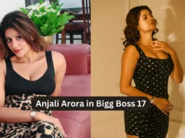 Anjali Arora in Bigg Boss 17: Anjali Arora Will Have A Wild Card Entry