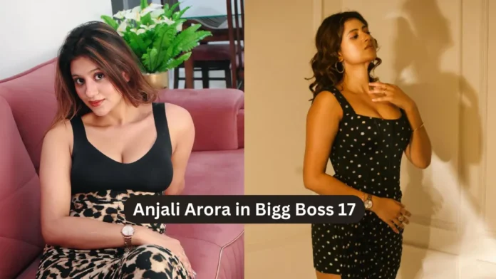 Anjali Arora in Bigg Boss 17: Anjali Arora Will Have A Wild Card Entry