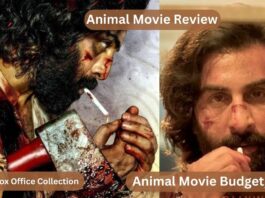 Animal Movie: Animal Box Office Collection, Review, Budget, Cast, 60 Crores upon Release