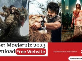 Movierulz 2023 Download: For Free from These Websites, Download New Movies Like Animal, Bollywood, Hollywood and Telugu