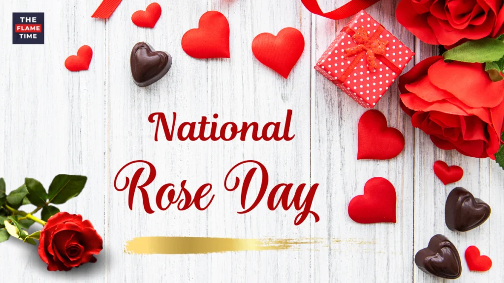 Happy Rose Day 2024 Special: Wishes, Images, Quotes to Share